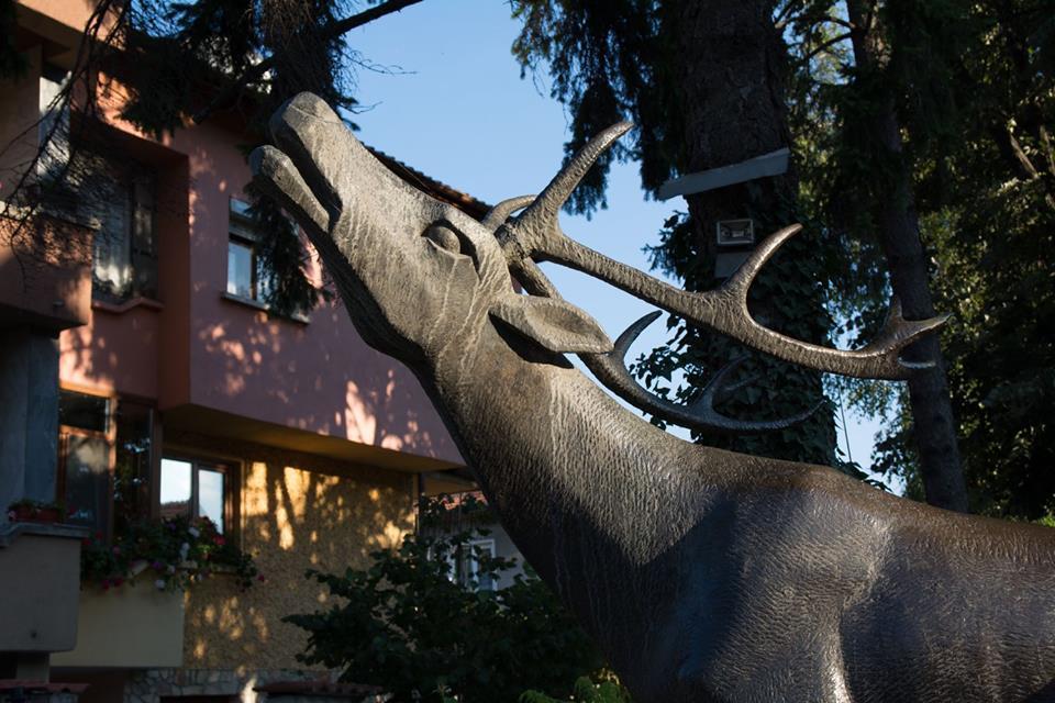 Guest House Elena Welingrad Zewnętrze zdjęcie